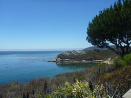 Hiking in Avila Beach