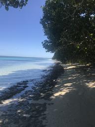 Almost our own private undeveloped beach.