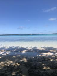 A view of Crazy Love at anchor from the beach.