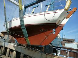 Crazy Love in the slings on the travel lift.