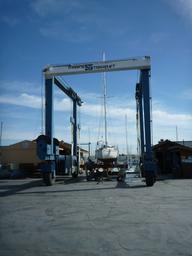 Crazy Love at rest on the cradle.