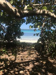 Paradise found.  Post card picture perfect.