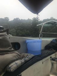 Excellent drinking water collected.  One bucket at a time.