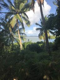 Just one of many beautiful views walking to town.