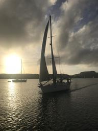 Zensation returning from the Friday evening race.  They came in first of course.  View from Shamata.