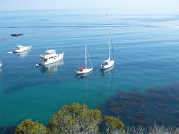 Crazy Love anchored fore and aft in Big Geiger Cove