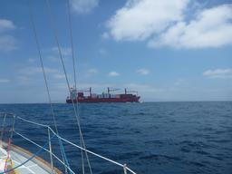 Cargo ship in the traffic separation zone