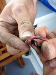 The nearly completely severed wire connecting the alternator to the rest of the boat's electrical system
