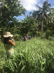 Bushwacking across Aunu’u.