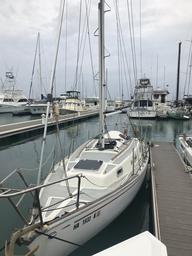 Crazy Love this afternoon after a bubble bath ready for new sails.