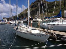 Crazy Love tied up in preparation for hurricanes Iselle and Julio.