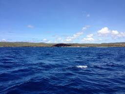 Dead horse cliff along the roadstead.