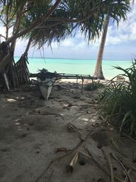 An outrigger canoe off the main road