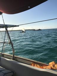 The wreck we anchored next to.