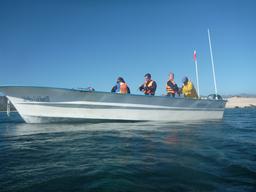 The panga we took from the beach to the snorkeling spot.