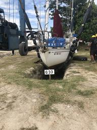 Crazy Love being lowered into the pit.