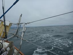 En route to Half Moon Bay