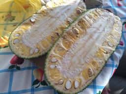 A jackfruit cut in half in Chacala.