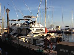 Crazy Love in her "slip" Tahitian mooring at Lahaina Harbor.