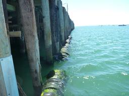 Line at the gas pump station. Hey Sal there are people waiting here so move along!