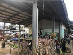 Fresh vegetables and the best tomatoes I have had in a very long time. 