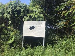 If you are up for an interesting story about a woman using all her assets to protect Mount Talau check out the link above.