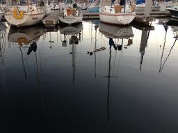Our buddy still hangs here in the Monterey Marina.