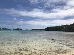 Busy anchorage in Port Maurelle. Crazy Love is the second boat from the right.