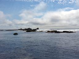 Some rocks to watch out for as we round Pillar Point tomorrow!