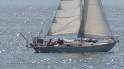 Looking relaxed heading away from the marina.