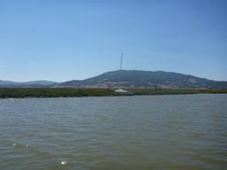 A sailboat on the banks of the Petaluma.  This boat hadn't seen love in a long time