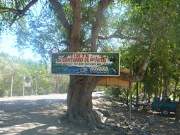 A jungle tour in San Blas is a must do.