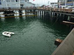 The dinghy dock on Stearns Wharf