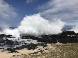 Shark and turtle beach where Auntie will call to the shark and turtle.