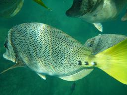 Probably the best photo we took underwater.