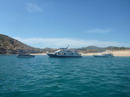 The party boats that join us for a few hours every afternoon.