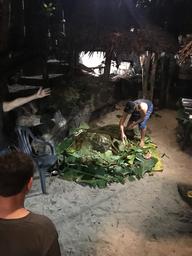 Umu oven at Tisa's feast.