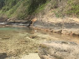 Spot our four legged tour guide.  He followed us across the island and took a swim with us too.
