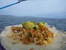 TVP taco.  TVP is a filler made of soy protein and when mixed with some chili seasoning makes a great base for tacos.