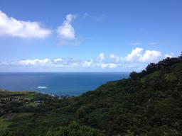 View on the way to Hana.