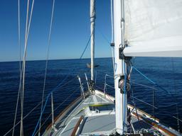 We were going so slow I think this sea gull thought we were an island.