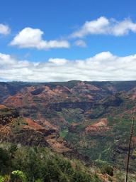 Beautiful views at Waimea Canyon.