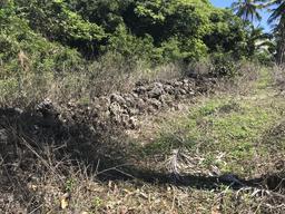 The sign kept promising a historical site. Can you see the wall of lava rocks? 