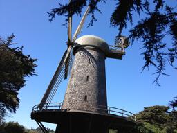 Windmill in Golden Gate Park